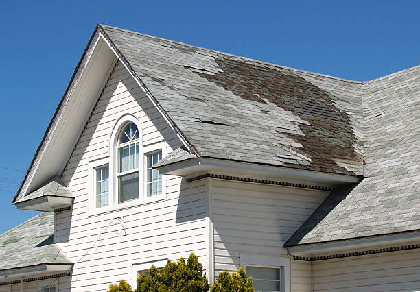 Damaged shingle roof