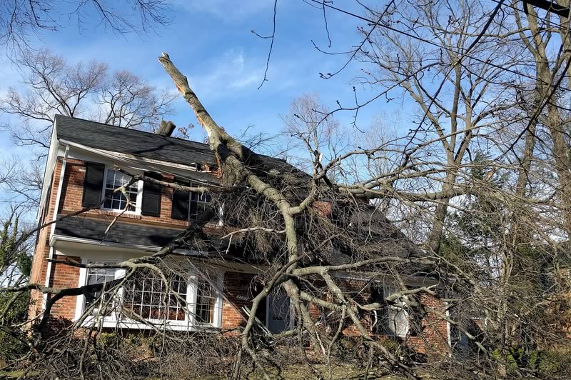 Tree fallen on a house after a storm
